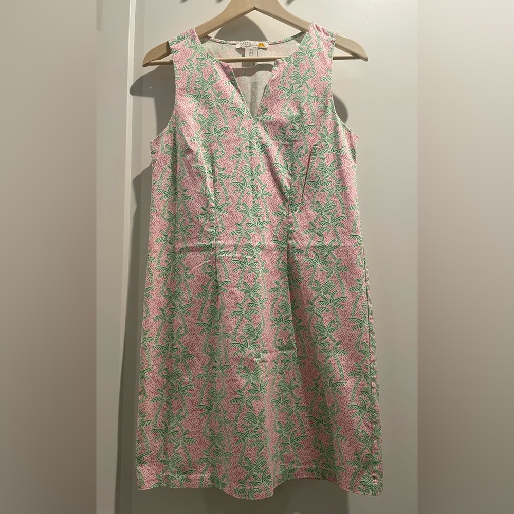 C&C California Pink and Green Floral Dress